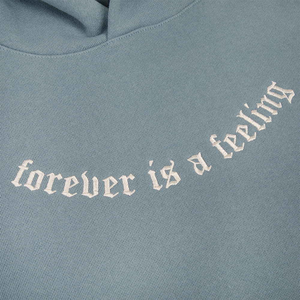Forever is a Feeling Embroidered Hoodie