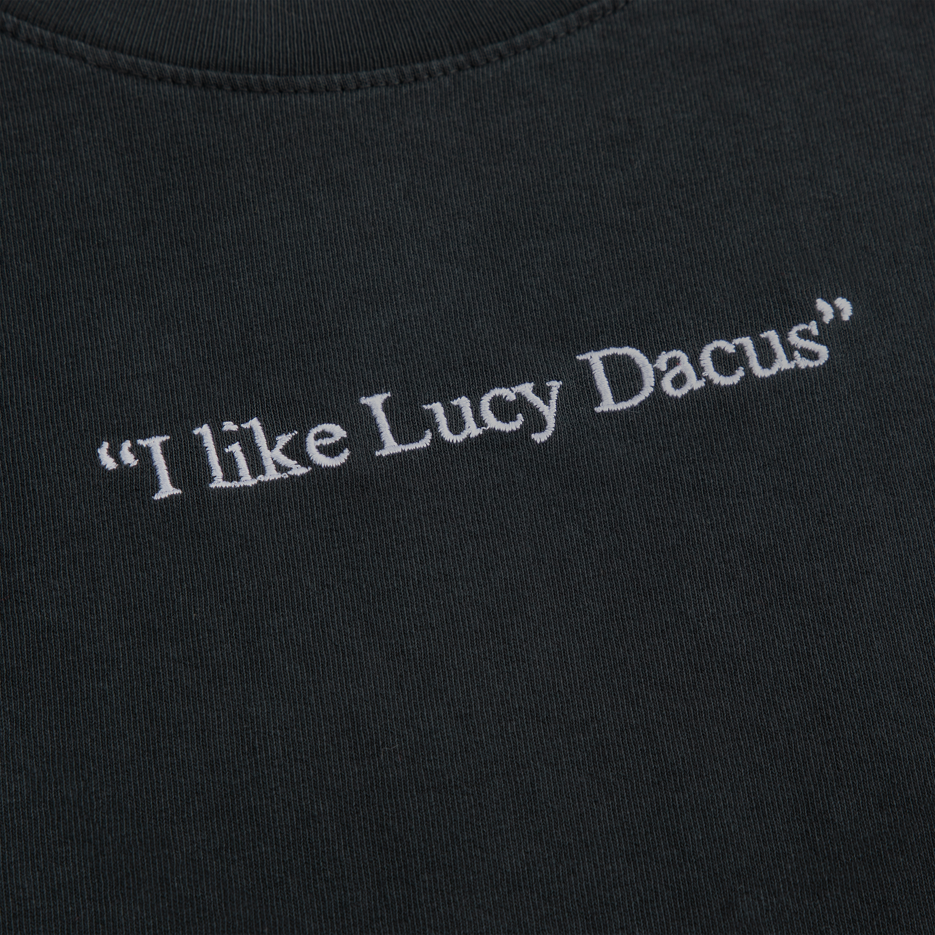 I Like Lucy Dacus x Everybody.World Slate Tee