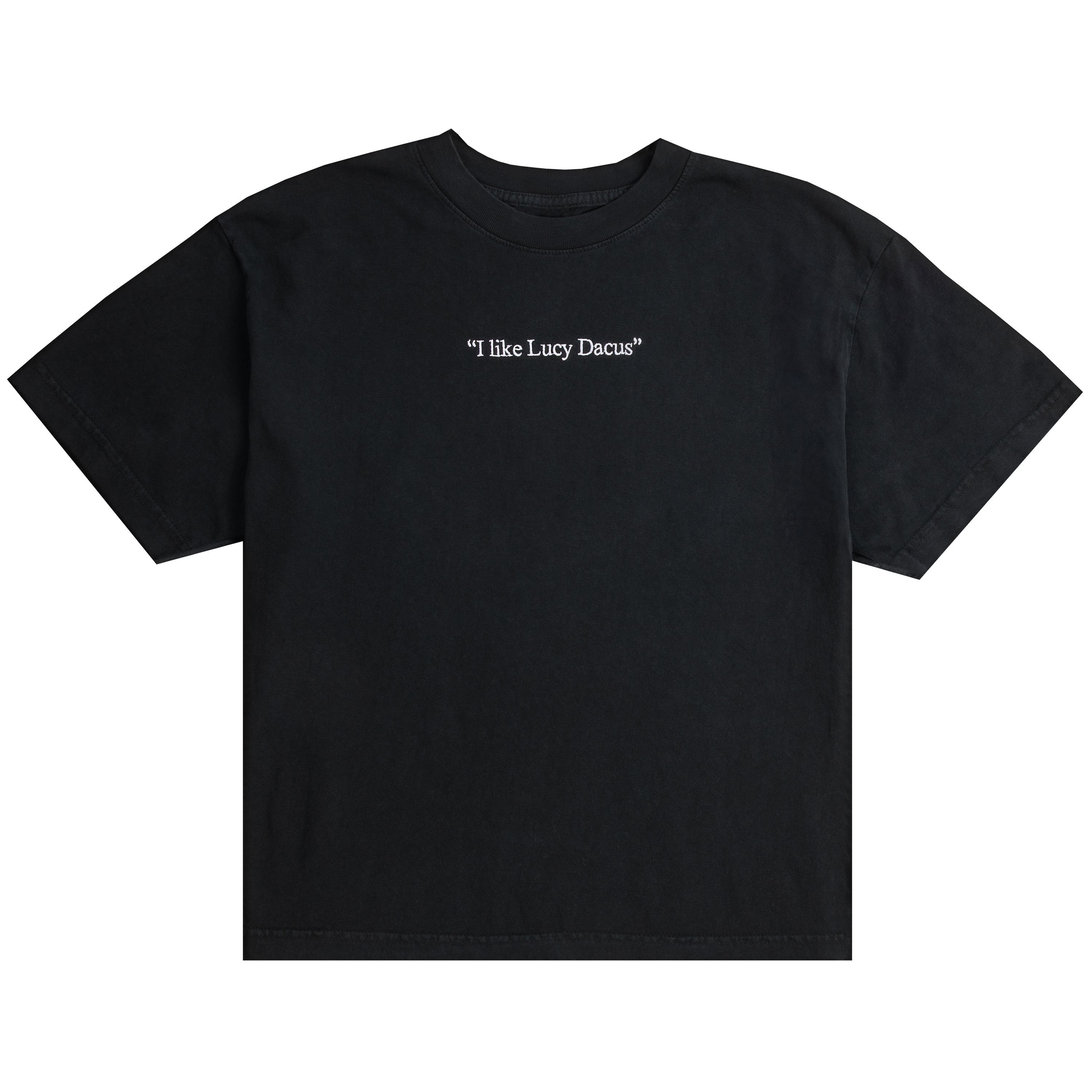 I Like Lucy Dacus x Everybody.World Slate Tee - Lucy Dacus