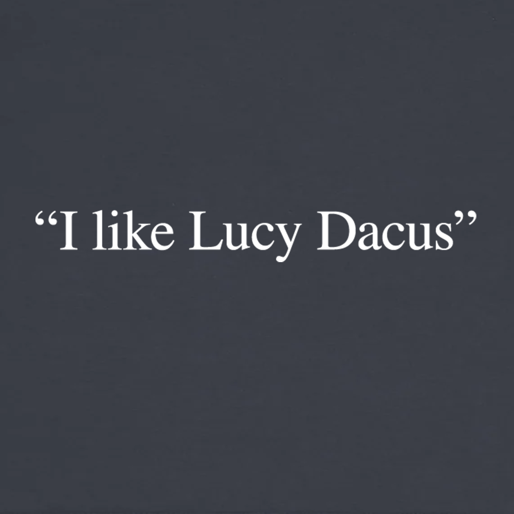 I Like Lucy Dacus x Everybody.World Slate Tee Detail